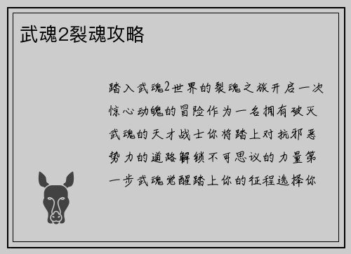 武魂2裂魂攻略